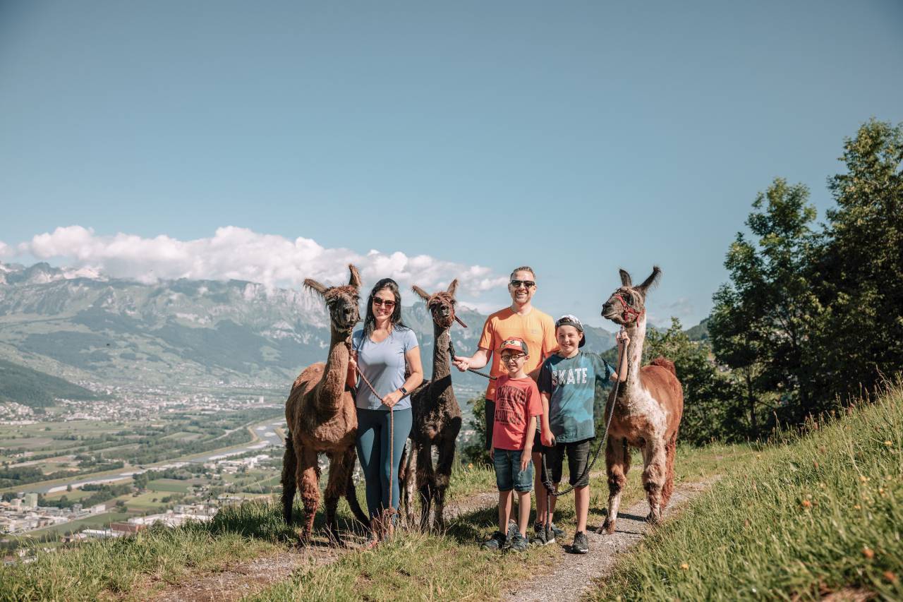 Wanderung mit Lama und Alpaka in Liechtenstein