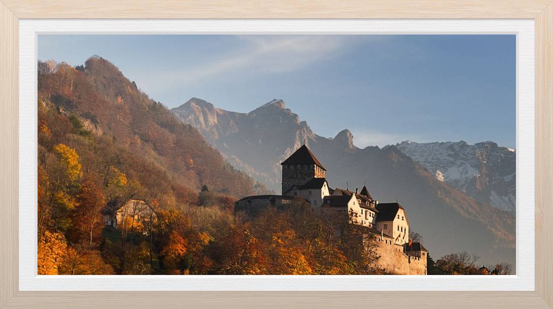 Grün, Gelb, Rot ..... Los!! 🍃 🍂 🍁 Symbolfoto