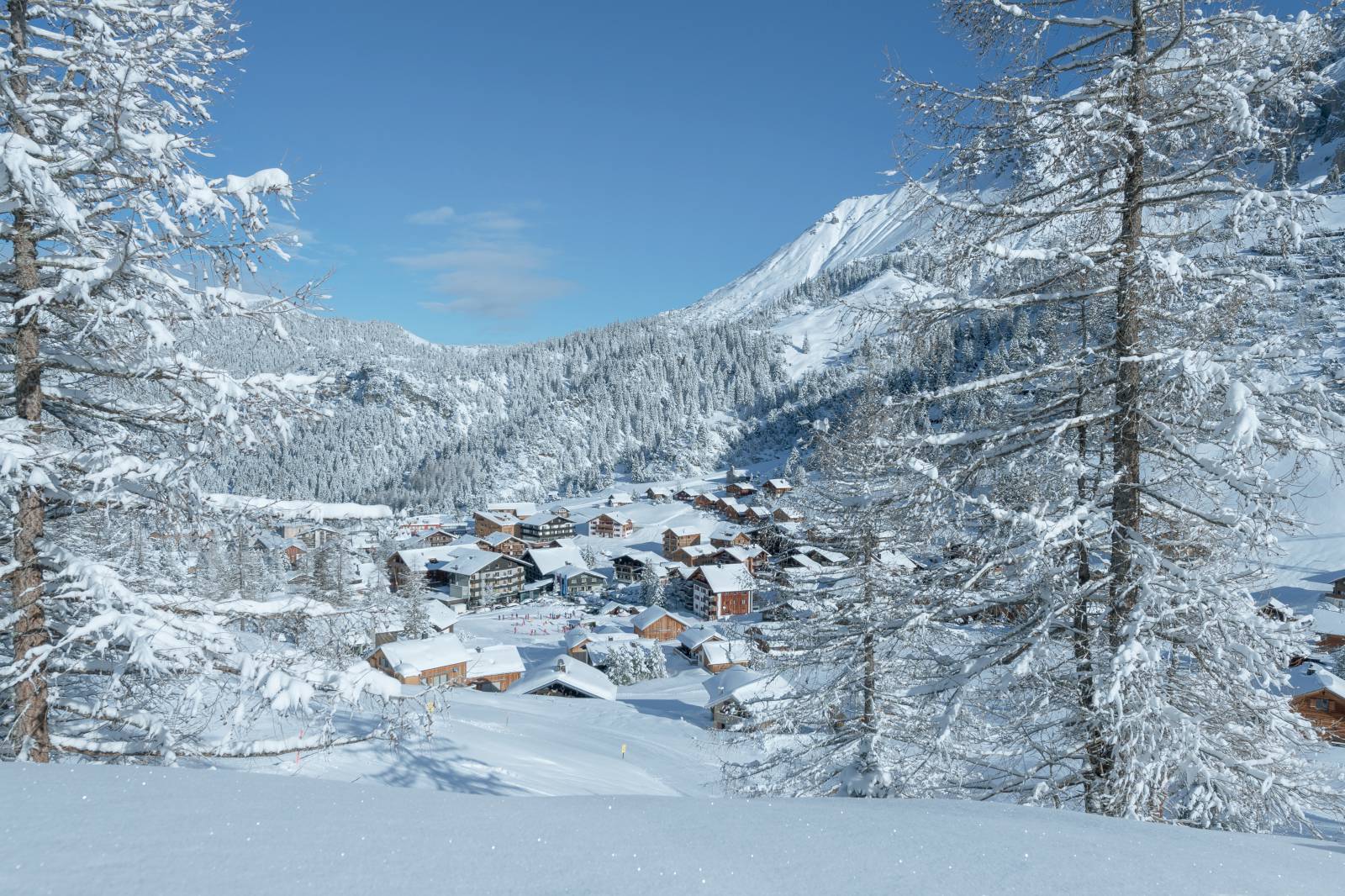 HolidayCheck Award 2023 Symbolfoto