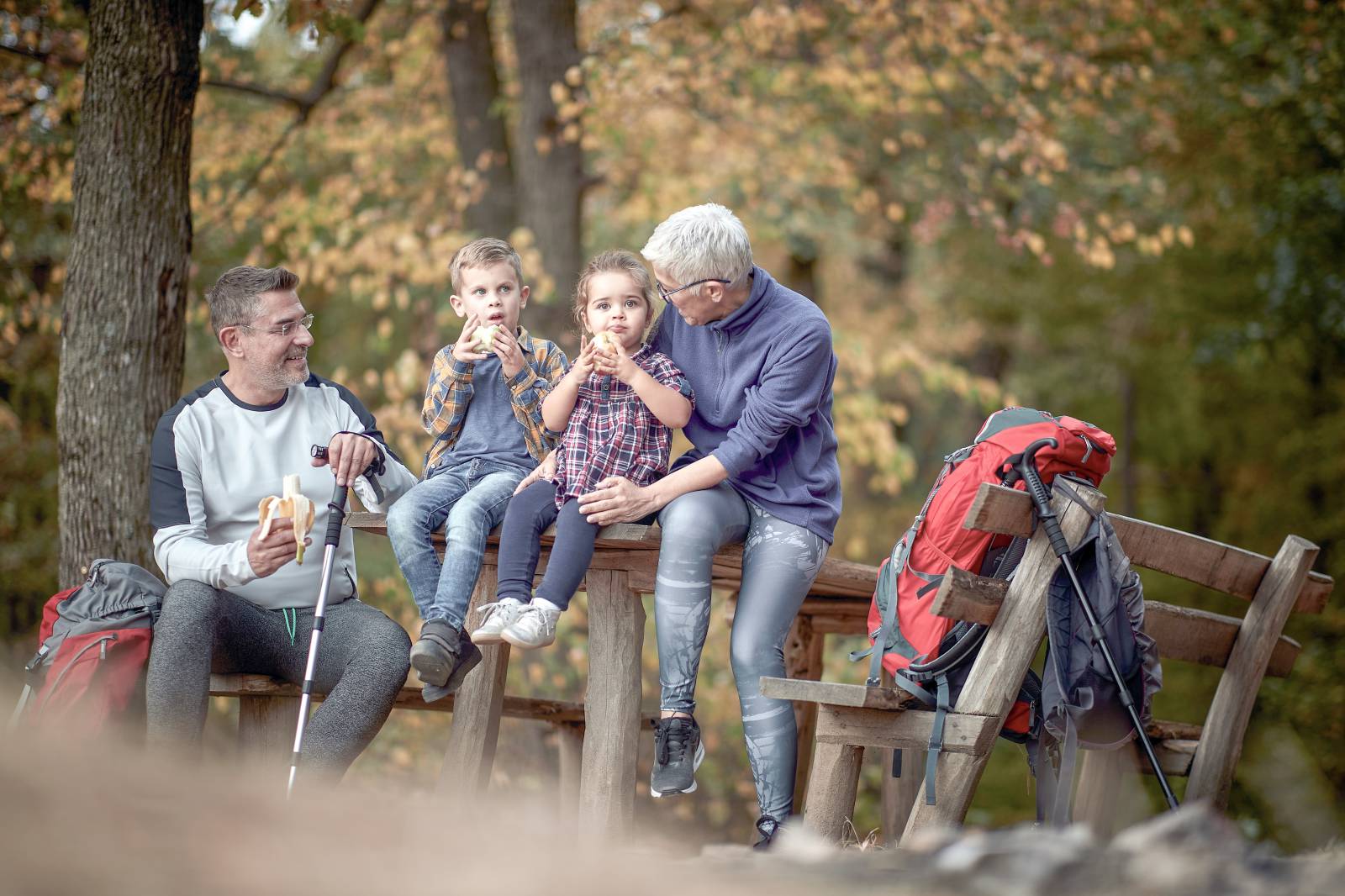 Bunte Blätter und klare Bergluft 🍁 Symbolfoto