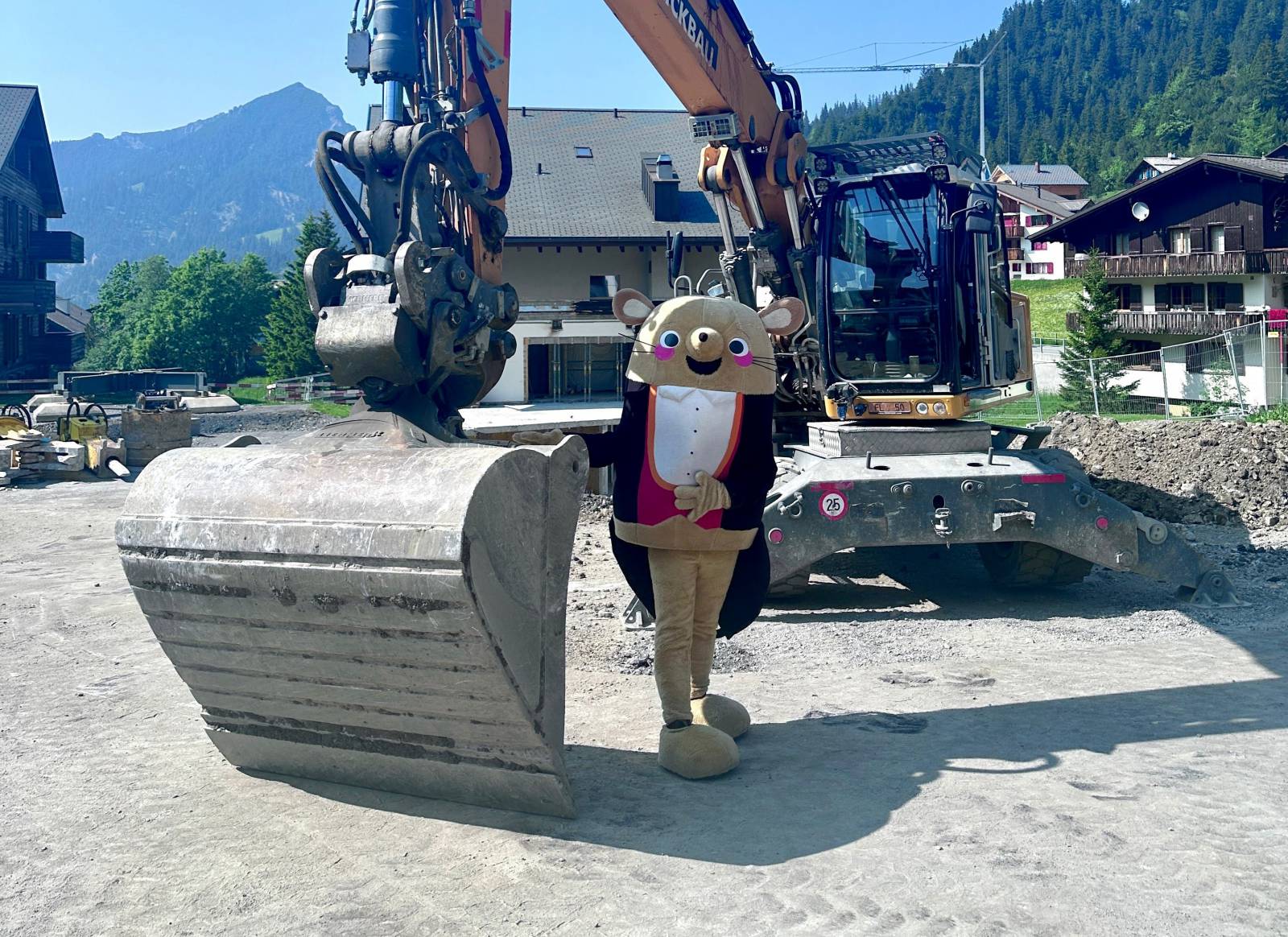 ✨ Ein Märchen wird wahr Symbolfoto