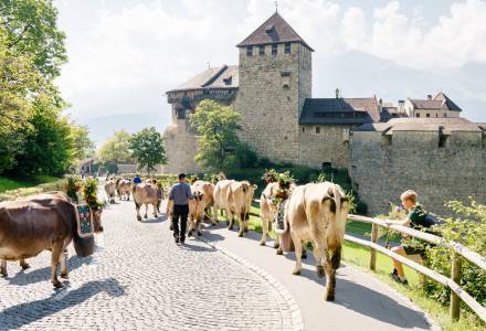 Alpabfahrt Pradamee am Schloss Vaduz