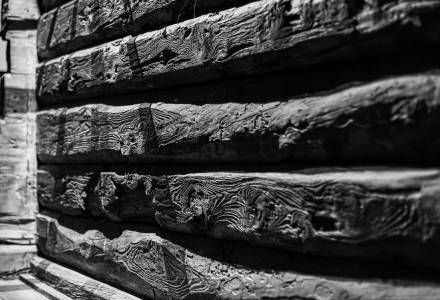 1351/1652 - Gorfion Familienhotel Liechtenstein