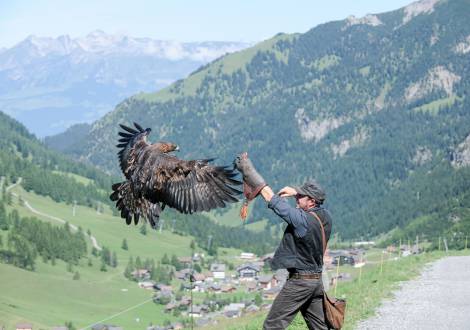 Greifvogelschau in Malbun