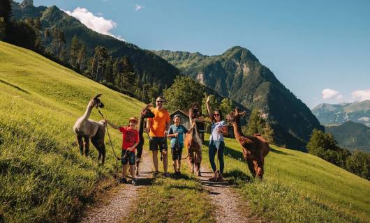 Gorfion Tipp im Sommer 2026
