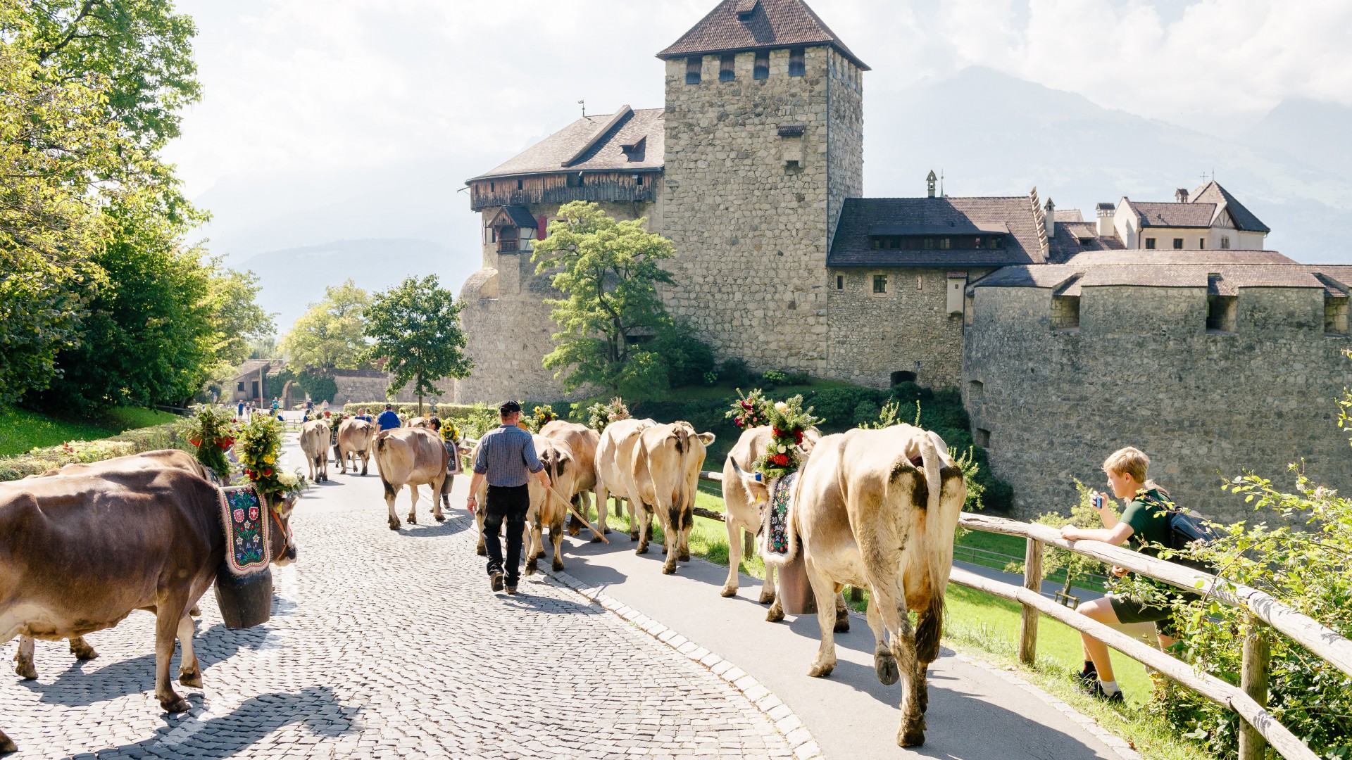 Alpabfahrt Pradamee am Schloss Vaduz
