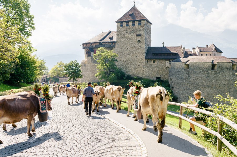 Alpabtrieb in Liechtenstein
